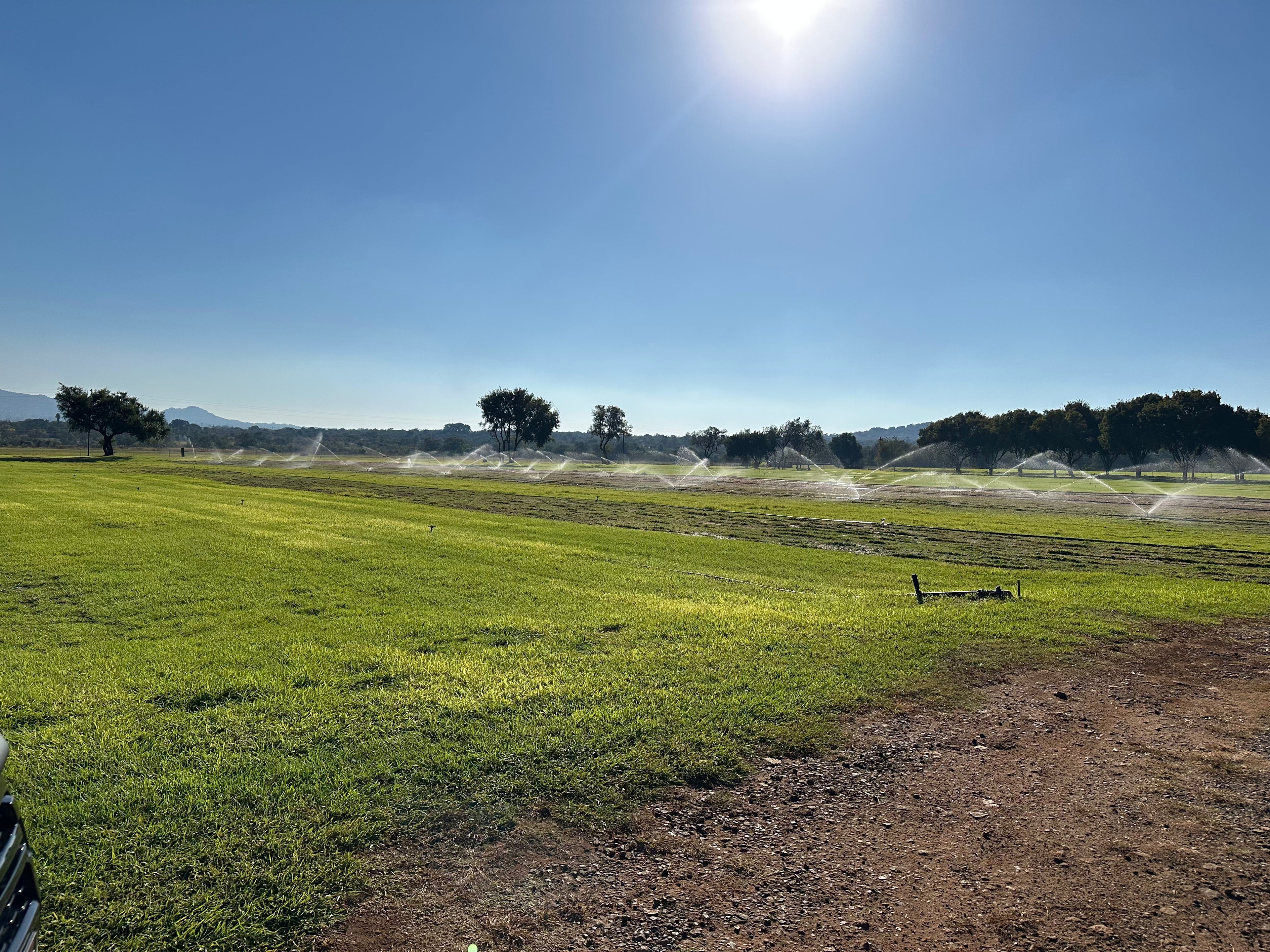 A wide outdoor farm landscape with green grass, sprinklers watering the field, trees in the distance, and a bright blue sky with the sun near the top center.