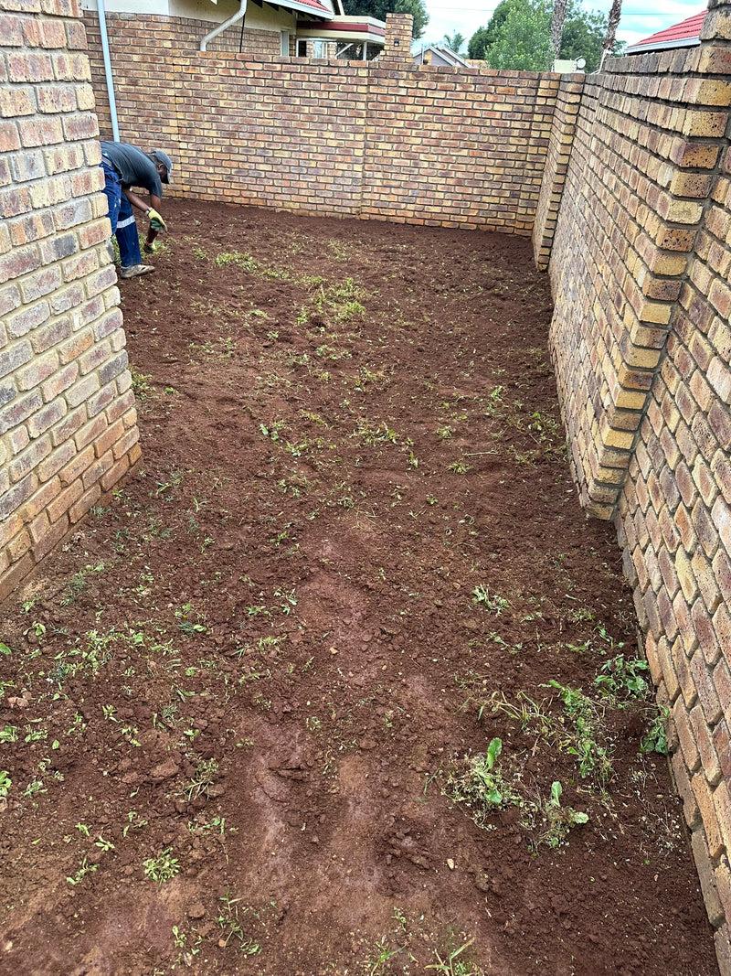 A freshly cleared backyard or garden bed with reddish-brown soil between tall brick walls, with a person kneeling in the far left corner.