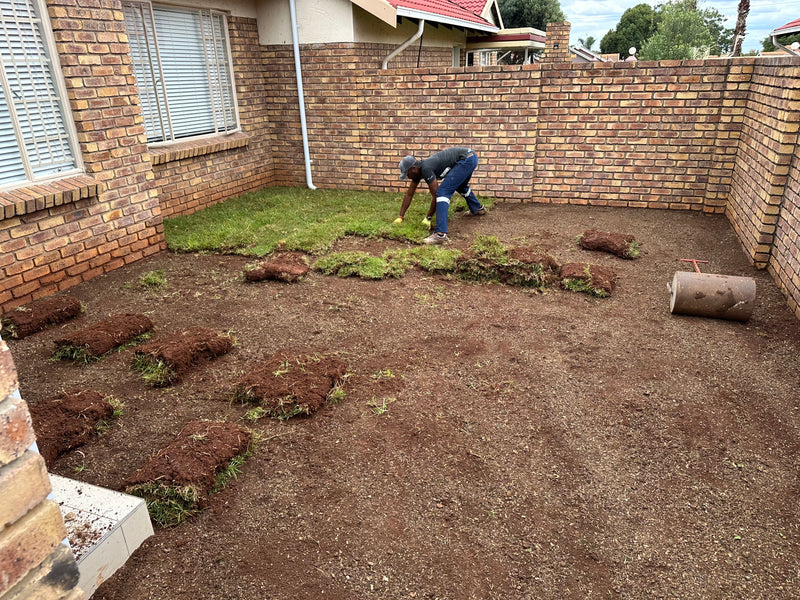 A person installing or rolling out grass sod in a backyard corner, with exposed brown soil, several laid sod sections, a brick wall, and part of a house visible.