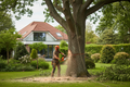 Tree Felling Services